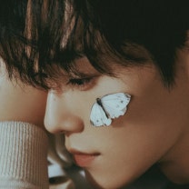 첸